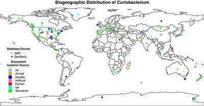 Evidence for Ecological Flexibility in the Cosmopolitan Genus Curtobacterium